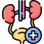 Urology Icon